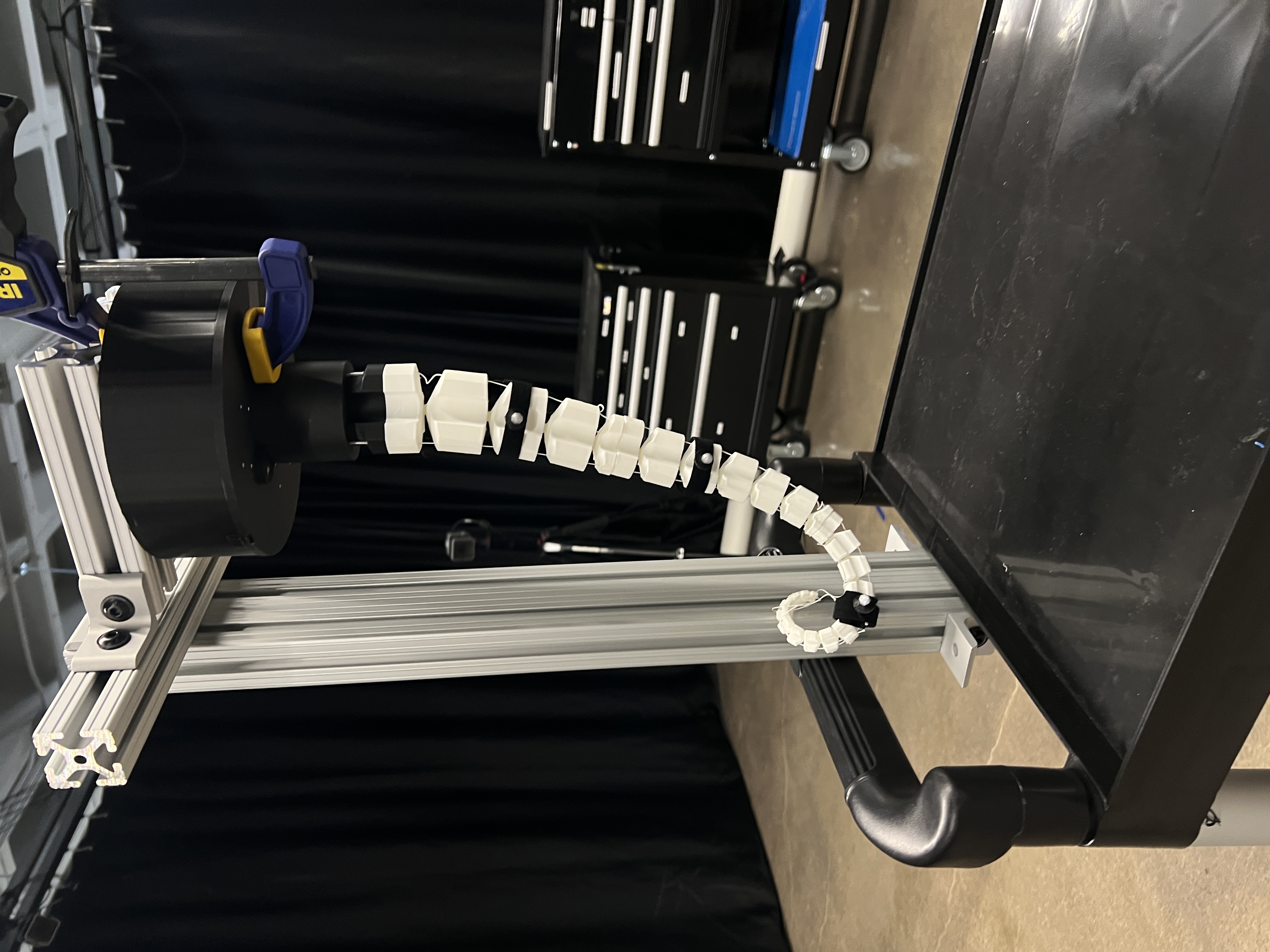 Arm with Motion Capture Markers